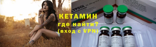 прущие грибы Балабаново