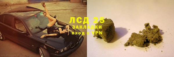 прущие грибы Балабаново