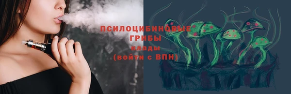 прущие грибы Балабаново