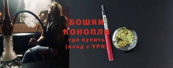 прущие грибы Балабаново