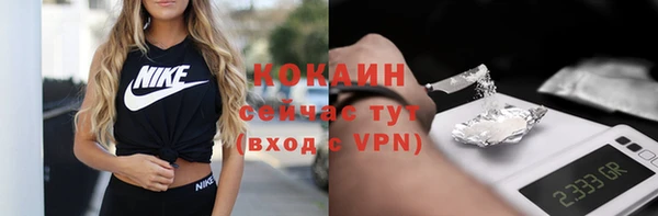 прущие грибы Балабаново